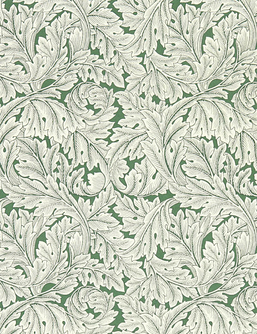 Обои Clarke & Clarke William Morris Designs W0175/01