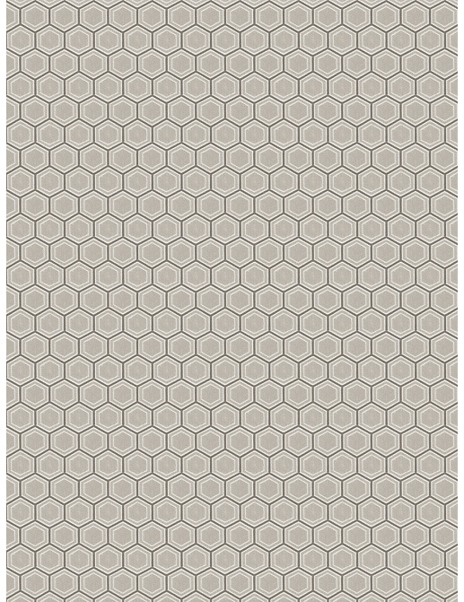 Ткань Fabricut Chromatics Vol.XXIII Taupe Penia/Taupe