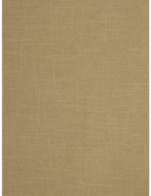 Ткань Trend Pacific Linen Multipurpose 02636/Cappuccino