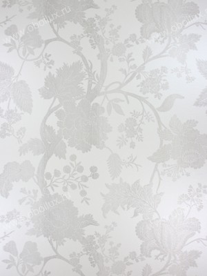 Обои Nina Campbell Birdcage Walk NCW3776-03