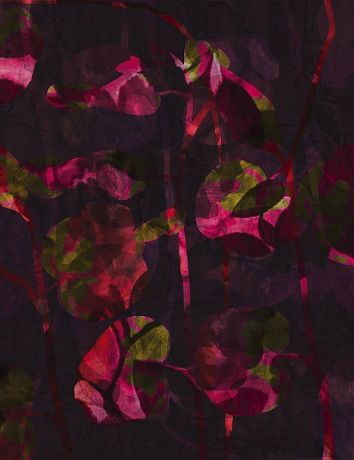 Панно и фотообои Wall & Deco Contemporary Wallpaper 2022 WDPS2201