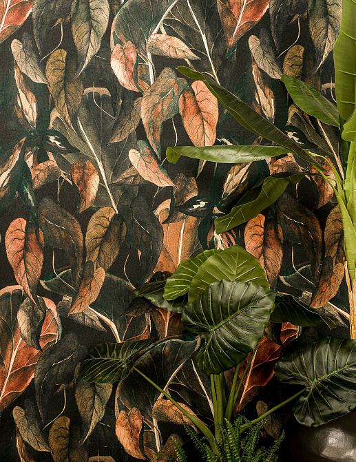 Обои Bekaert Riviera Ficus/Expressive