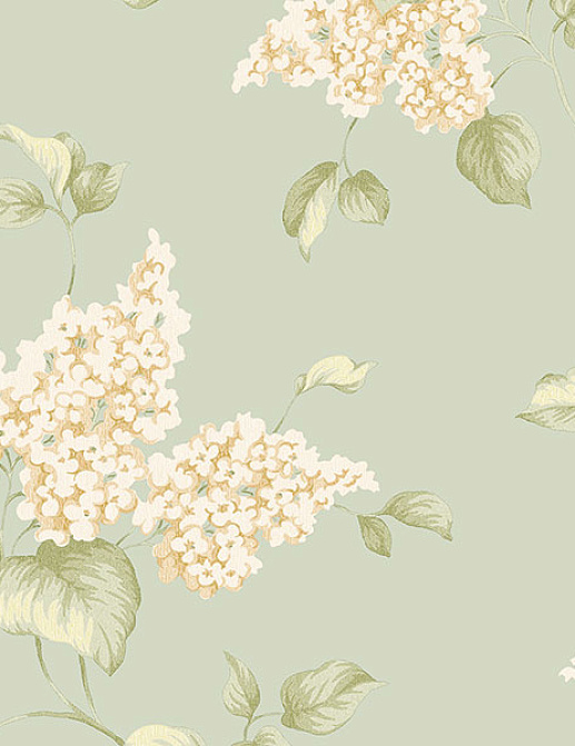 Обои Aura English Florals G34318
