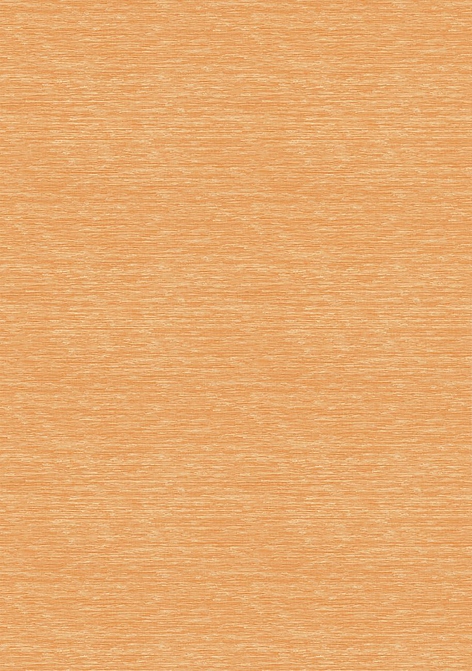 Обои Elitis Madagascar Arrowroot Raw Raffia VP105035