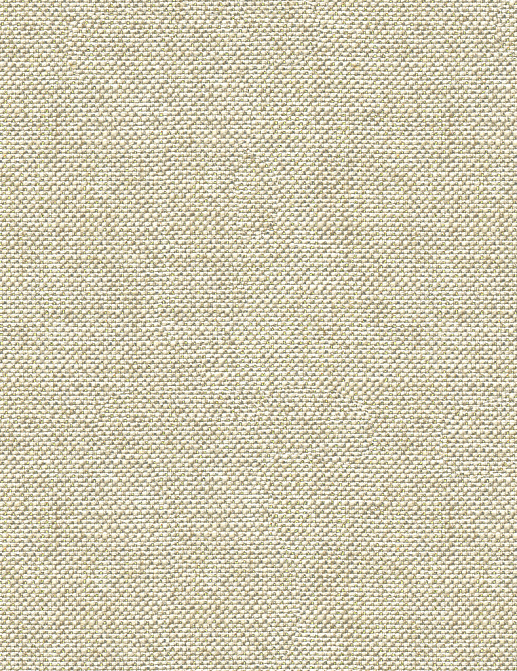 Ткань Kravet Modern Luxe Platinum 33555/11