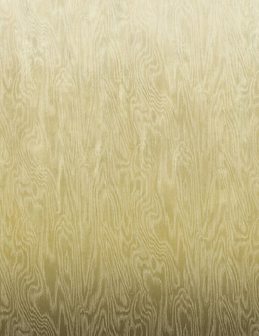 Обои Khroma Wall Designs IV DG4MOI1011-300