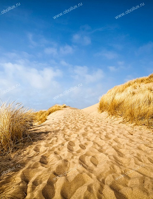 Панно и фотообои A. S. Creation XXL II 304 Sylt Beach 