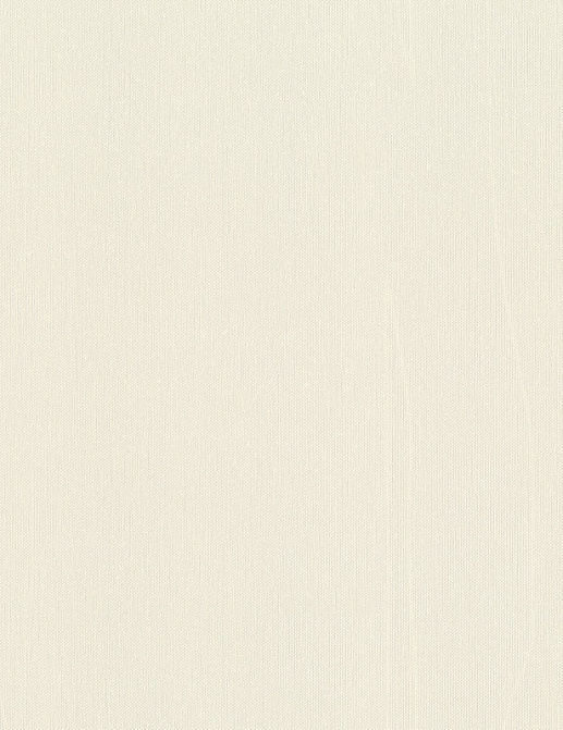 Обои Rasch Wall Textures XL Vol3 960747