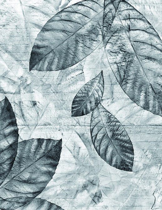 Панно и фотообои Skinwall Contemporary Collection 05B