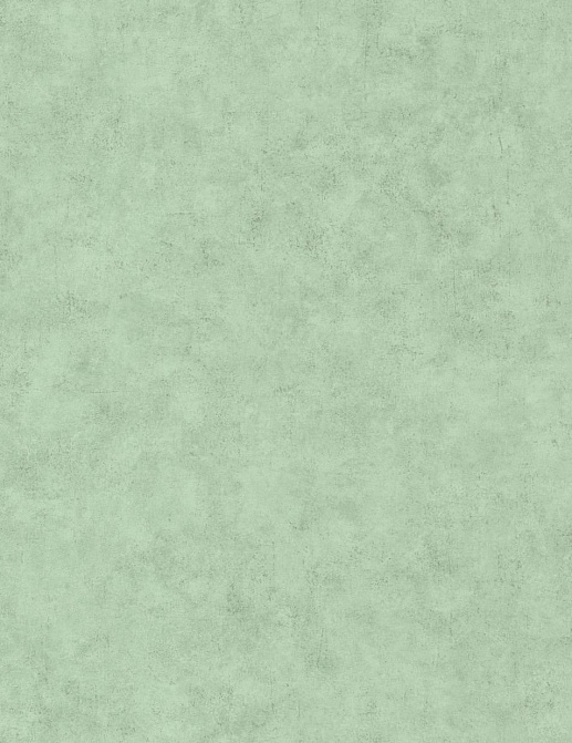 Обои Caselio Beton 101487516