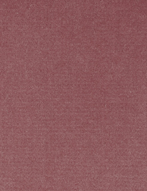 Ткань Alessandro Bini Velluto di Cotone G075/452