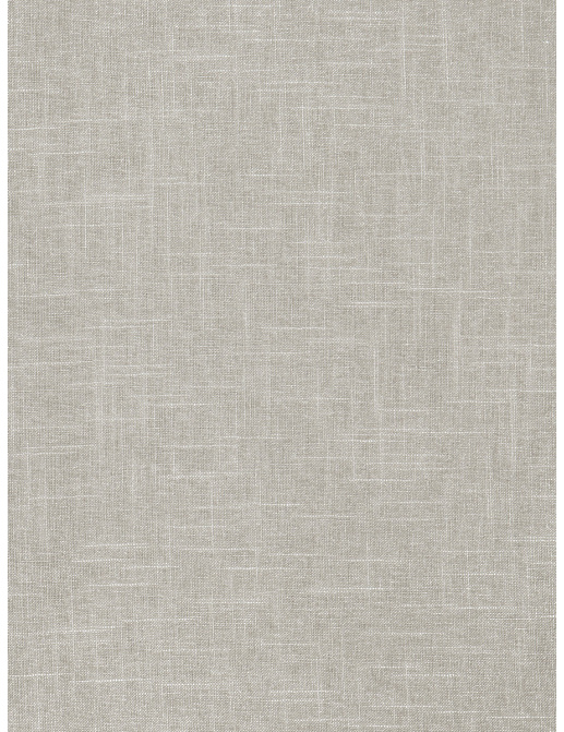 Ткань Fabricut Modern Nuances Grey Ramones/Grey