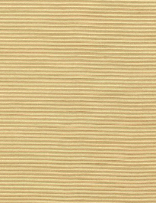 Ткань Daylight Avy Barles/Mimosa