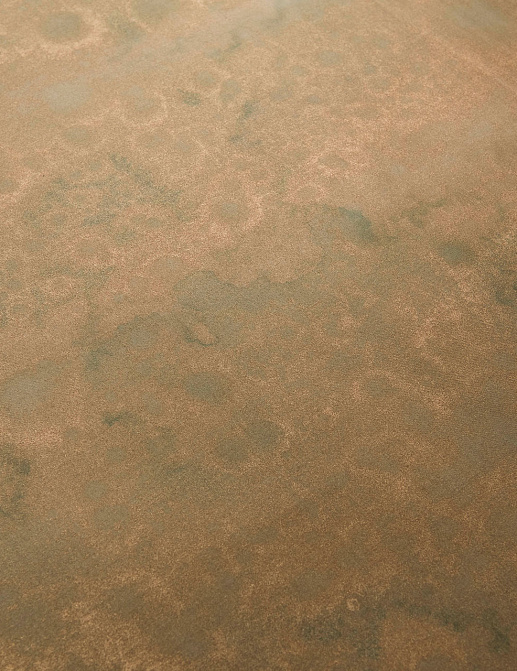 Обои Fromental Roomskins Saltwood/Delta