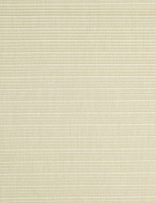Ткань Galleria Arben Rucci RUCCI/12/Beige