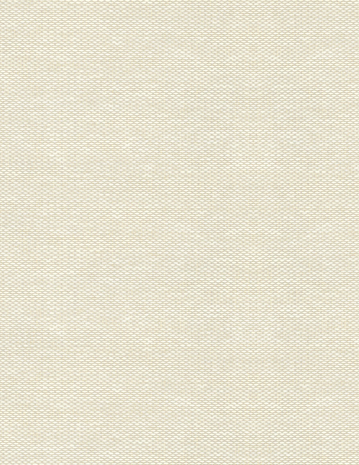Обои Beautiful House Paper Whisper 20-1049