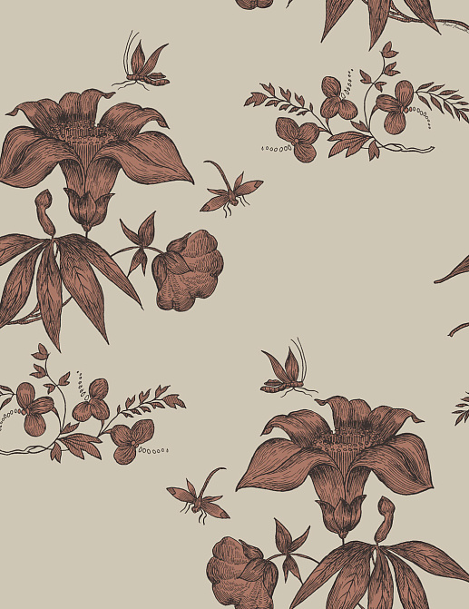 Обои Cole & Son Fornasetti 77/8031