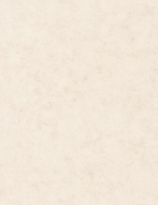 Обои Caselio Beton 2 BTO101481002