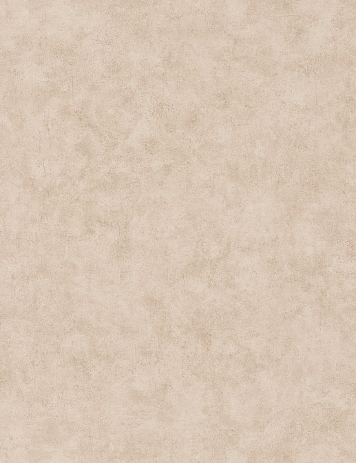 Обои Caselio Beton 2 BTO101481156