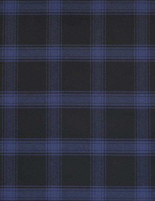 Ткань Ralph Lauren Blue Book 3 LCF66638F