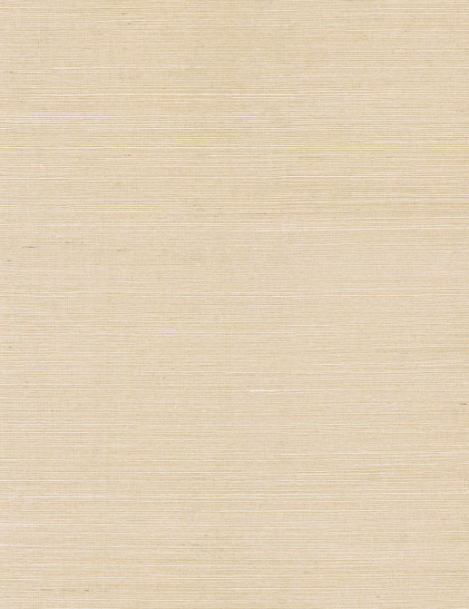 Обои York Ronald Redding Grasscloth & Natural Resource GV0102NW