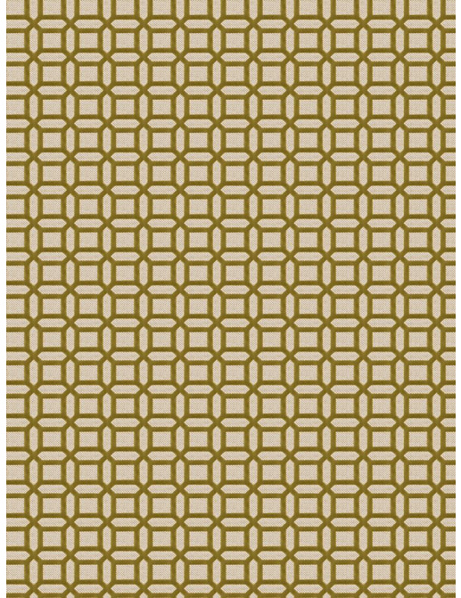 Ткань Fabricut Vignettes Vol.XIII Citrus Kamla/Avocado