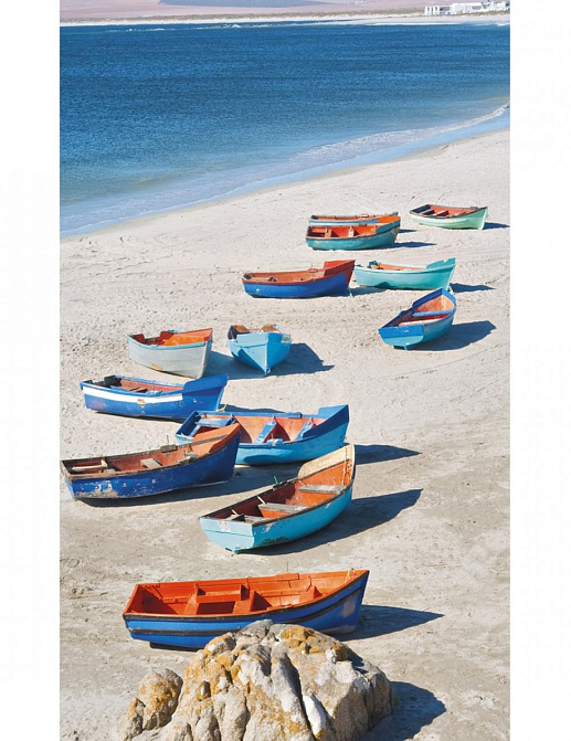 Панно и фотообои Caselio Trendy Panels TDP62216061