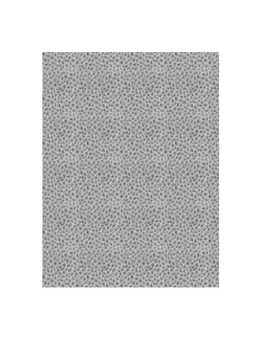 Ткань Fabricut Chromatics Vol.XXIII Zinc Weisbecker/Grey