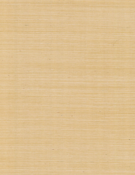 Обои York Ronald Redding Grasscloth & Natural Resource GV0111NW