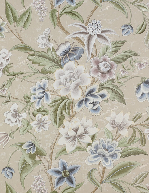 Обои Colefax and Fowler Celestine 07143-03