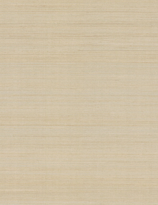 Обои York Ronald Redding Grasscloth & Natural Resource GV0272