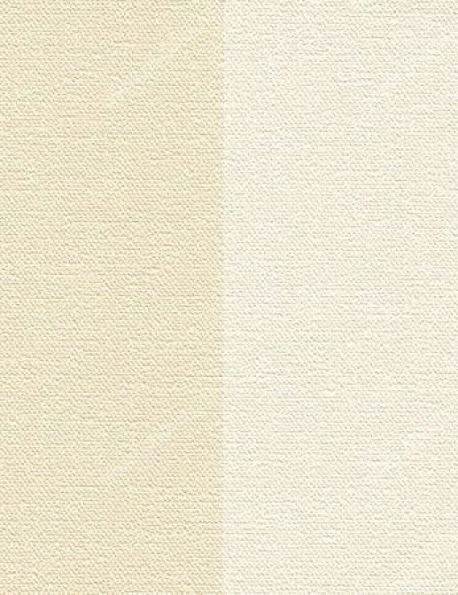 Обои Eijffinger Stripes Only 372053