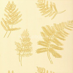 Обои Thibaut Filigree T2071