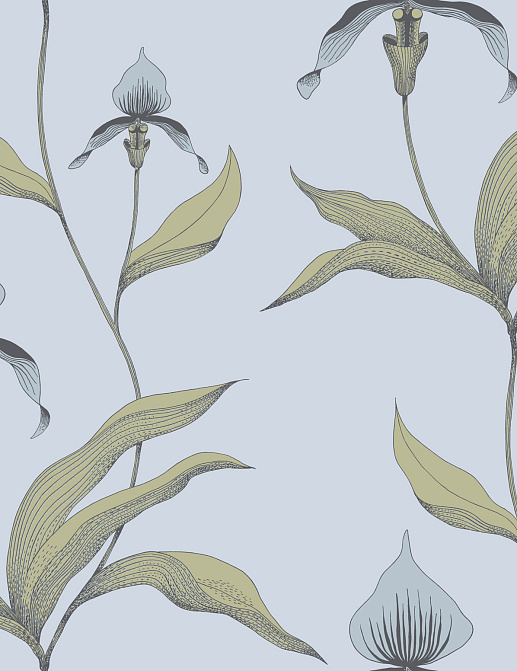 Обои Cole & Son New Contemporary 66/4026