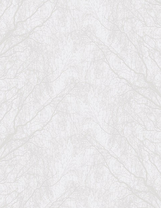 Обои Collection For Walls Northern Feelings 203701