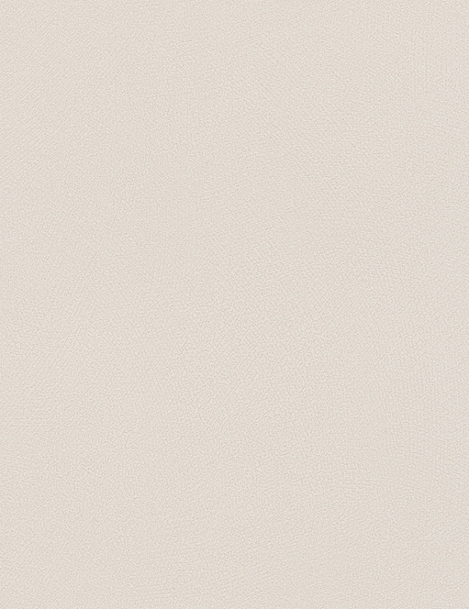 Обои Rasch Blue Velvet 610116