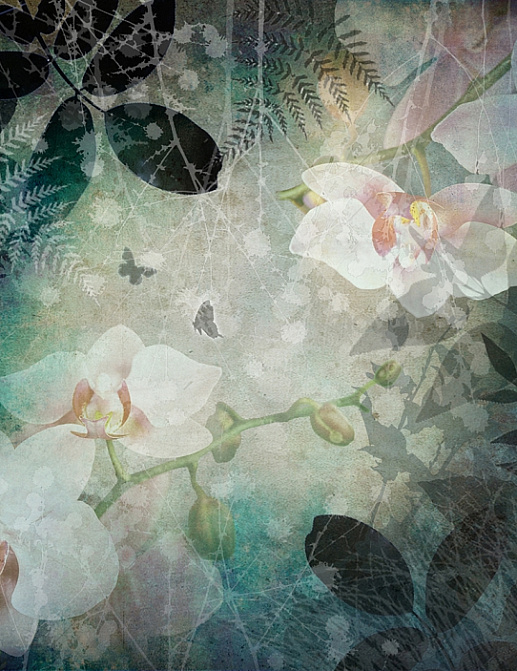 Панно и фотообои ID Wall Botanica ID048015