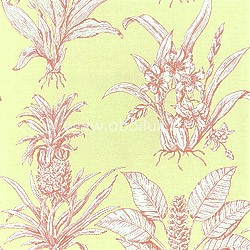 Обои Thibaut Toile Resource II T9803