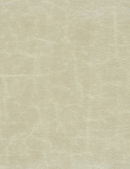 Ткань Designers Guild Arizona F1935/06
