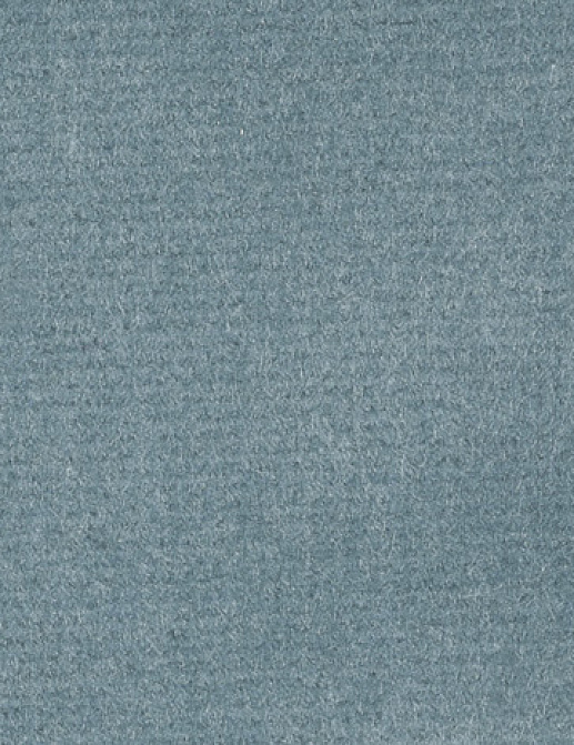 Ткань Alessandro Bini Velluto di Cotone G075/419