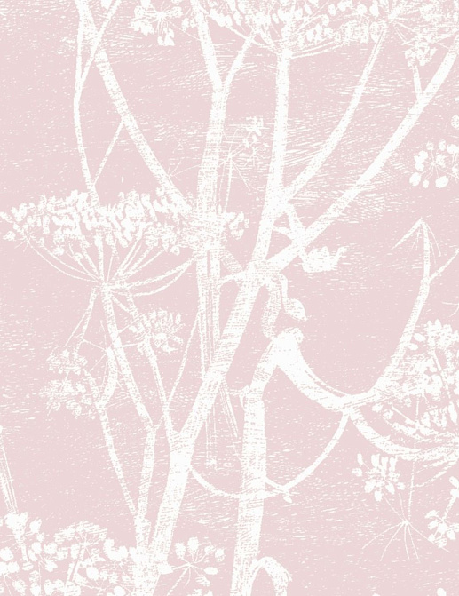 Ткань Cole & Son The Contemporary Collection F111/5018