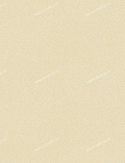 Обои York Candice Olson - Embellished Surfaces COD0136N