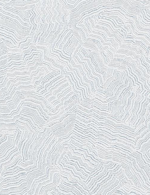 Обои York Candice Olson - Terrain COD0518N