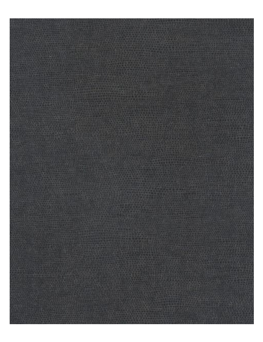 Обои Casamance Chromatic C72010715