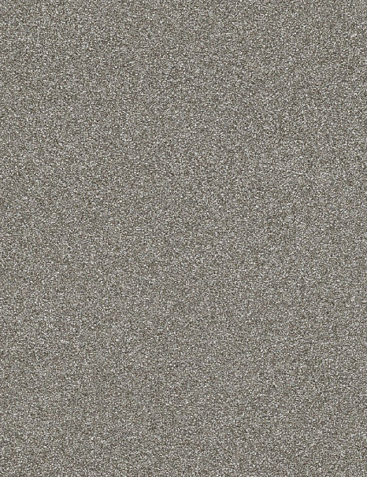 Обои Rasch Passepartout 606690