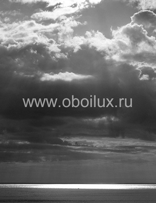 Обои Eco Photo 2442