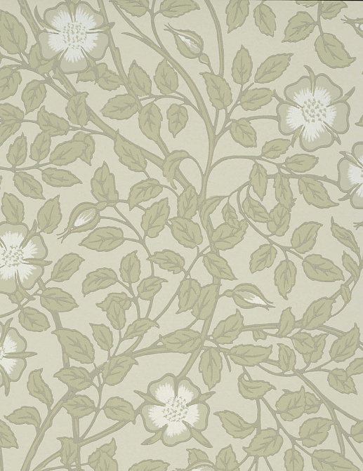 Обои Little Greene National Trust Papers III 0263BRGSTON
