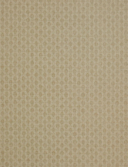 Ткань Colefax and Fowler Shaw F4335/02
