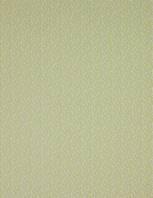 Ткань Colefax and Fowler Oaken F4355/02