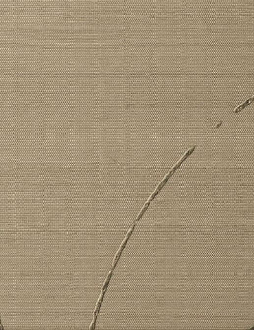Обои Vescom Textile Wallcovering VI 2612.92
